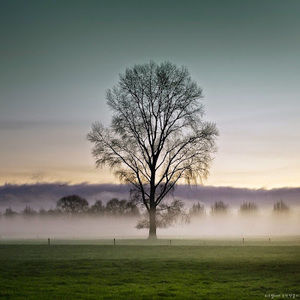 Meet your Posher, Isabel